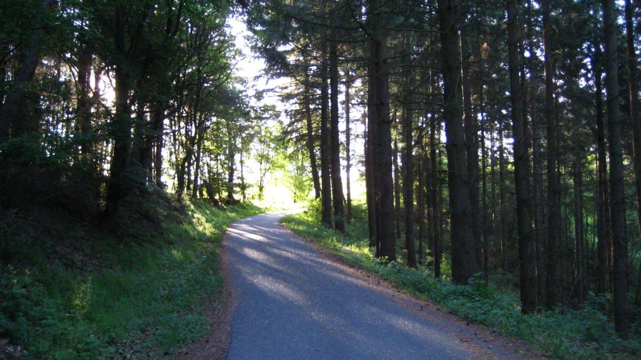 Gästezimmer Waldblick Wimbach Exterior foto